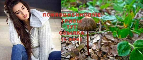 синтетический гашиш Коряжма