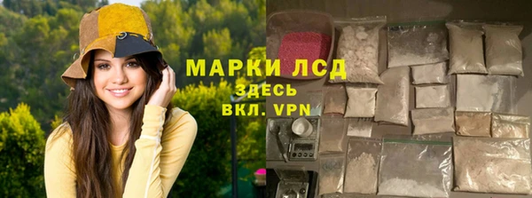 прущие грибы Кодинск